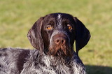 img_5064